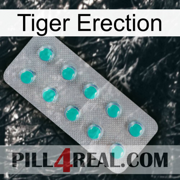 Tiger Erection 28.jpg